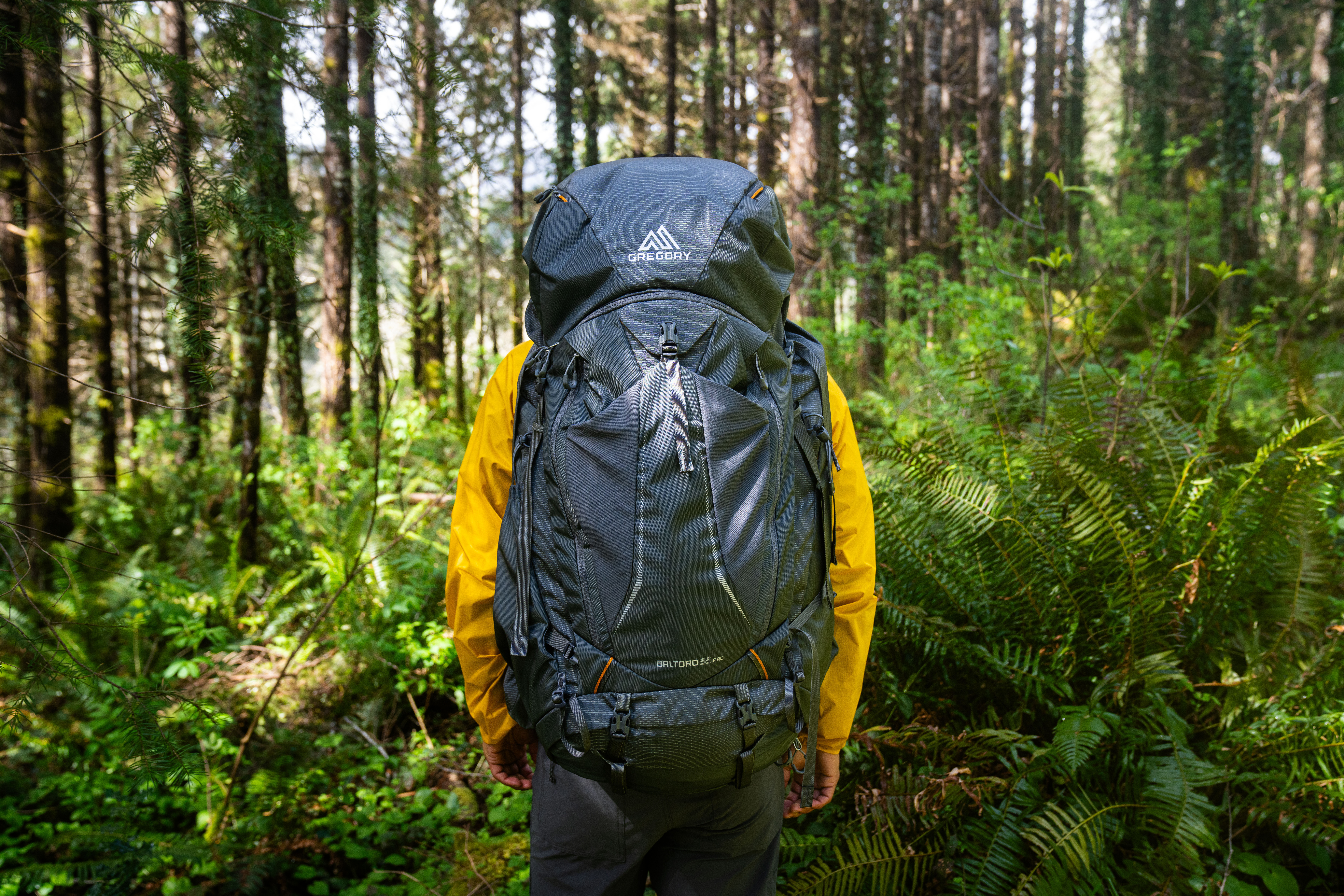Baltoro Pro 85L Zaino da spedizione Iron Grey | Gregory Italia