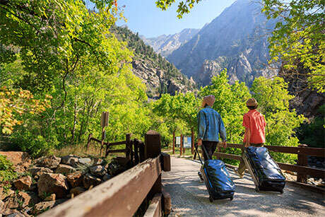 Alpaca duffels Gregory