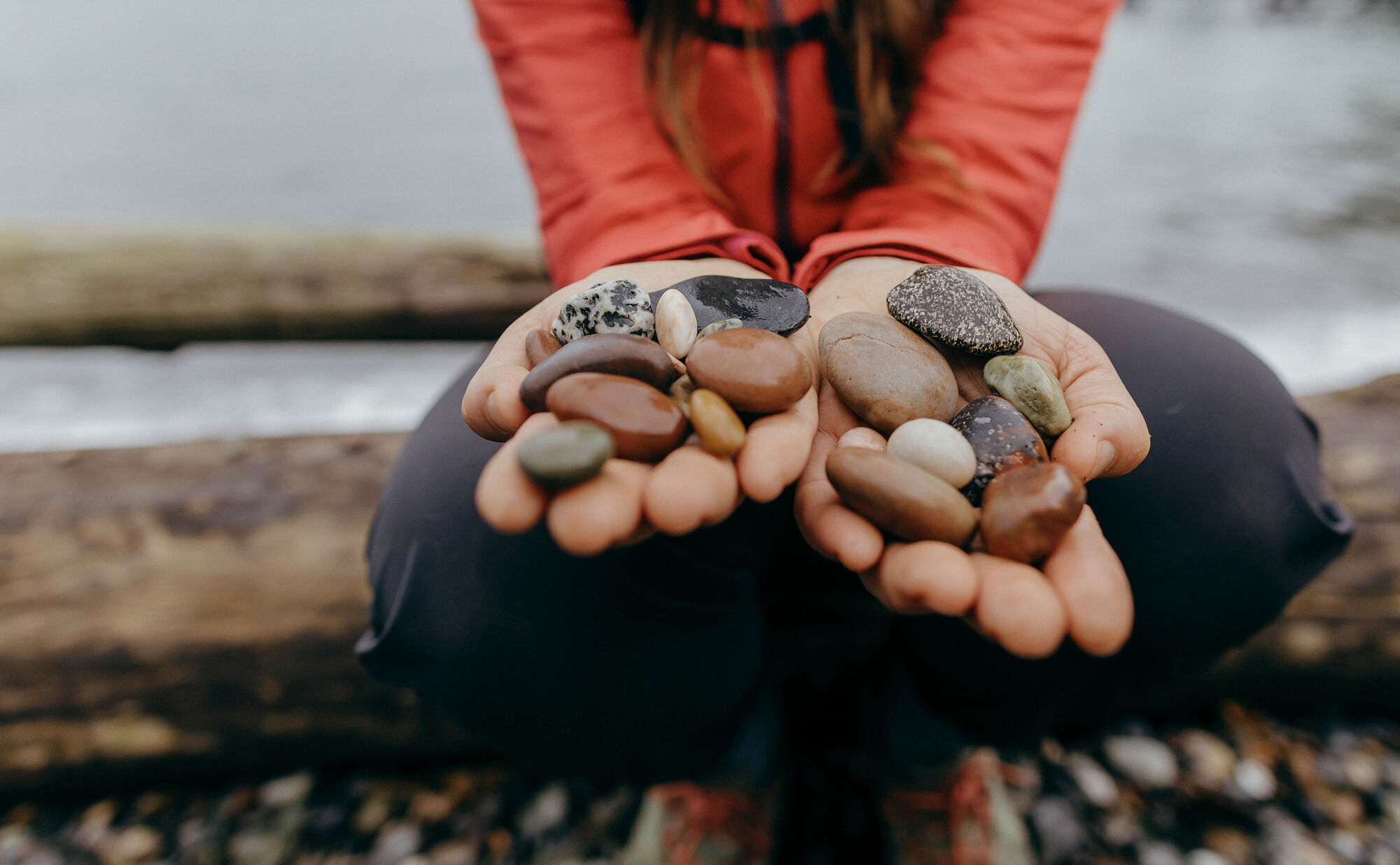 Gregory packs ® Official