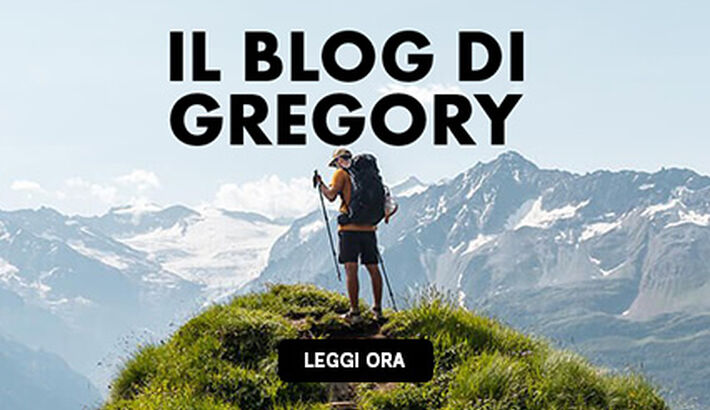 Gregory Blog