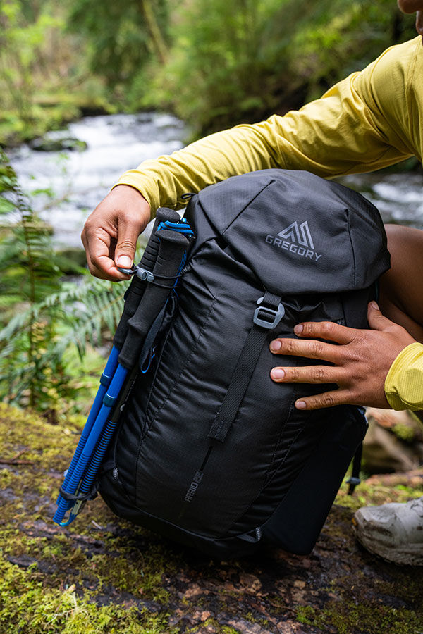 Gregory  Arrio 22 RC  Amber Haze