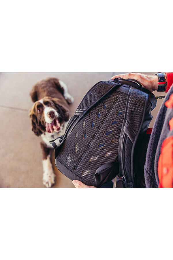 Nano 16L Daypack Moab Tan | Gregory UK