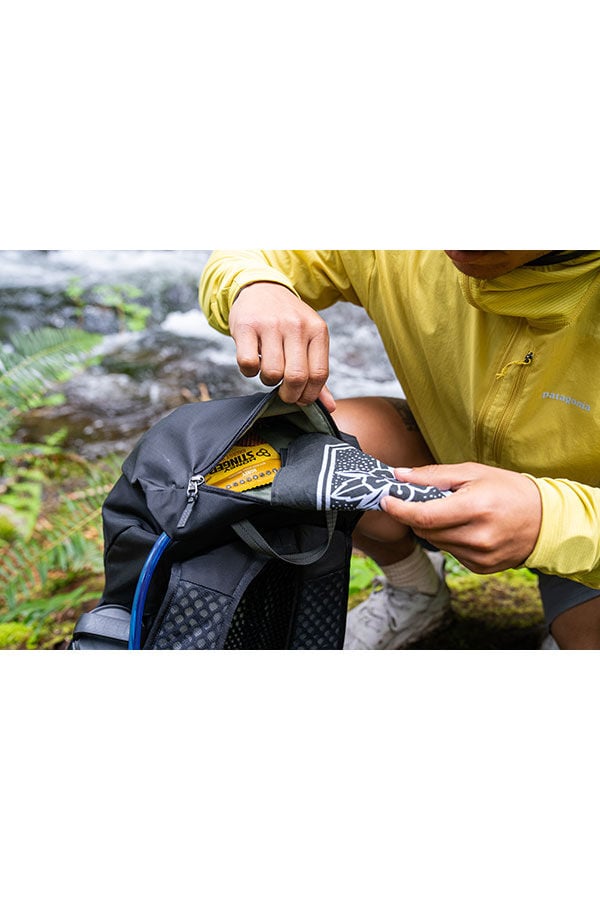 Arrio 22L Dayhiking backpack Amber Haze | Gregory UK