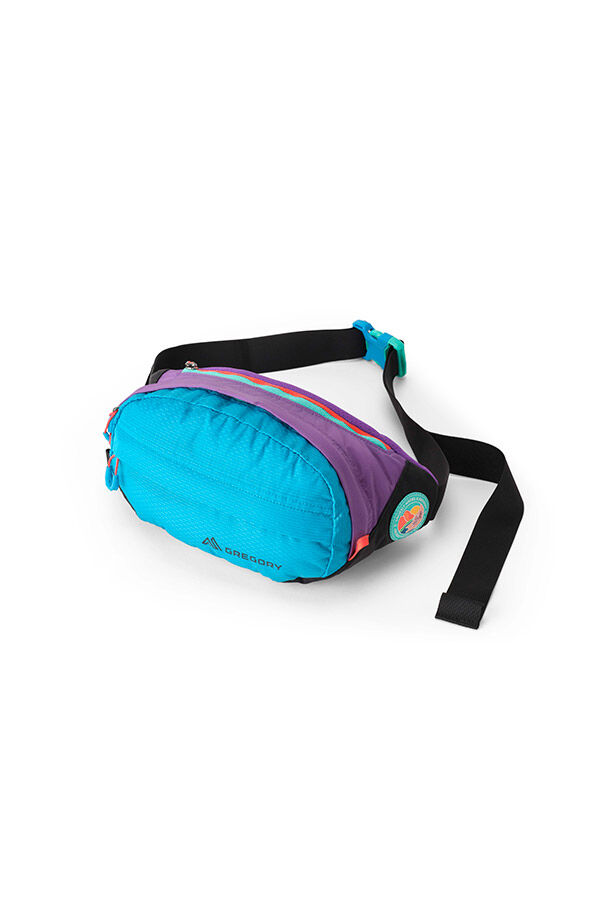 Gregory  NANO WAISTPACK PLUS  Uh Purple