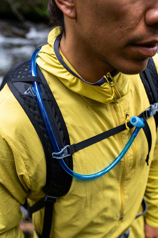 Arrio 22L Dayhiking backpack Amber Haze | Gregory UK