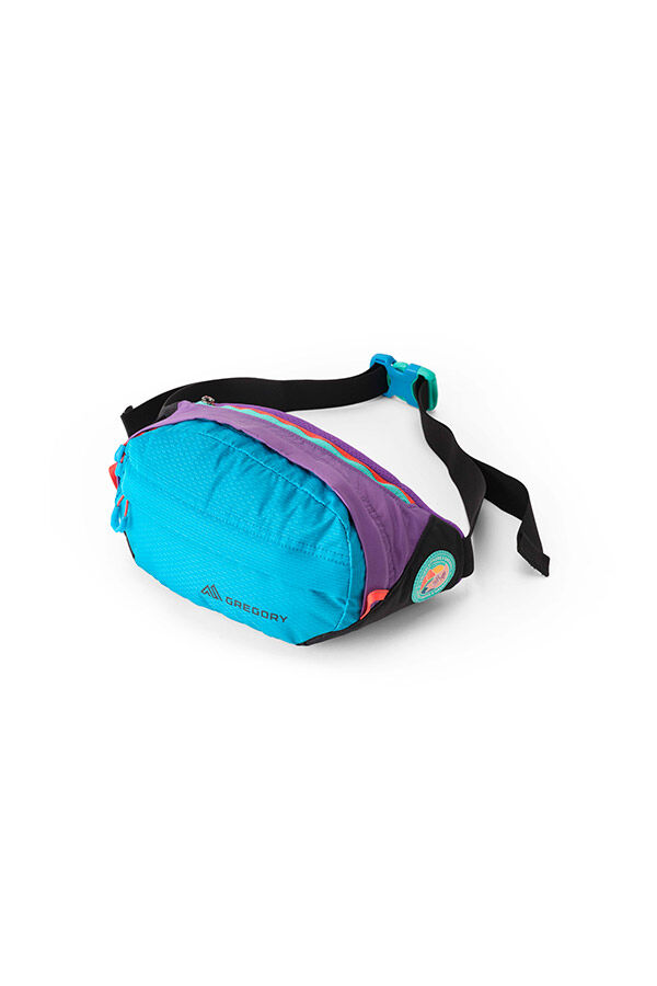 Gregory  NANO WAISTPACK  Uh Purple