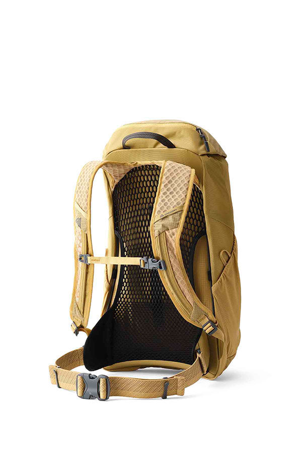 Arrio 22L Dayhiking backpack Amber Haze | Gregory UK