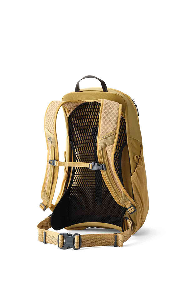 Arrio 20L Dayhiking backpack Amber Haze Brown | Gregory UK