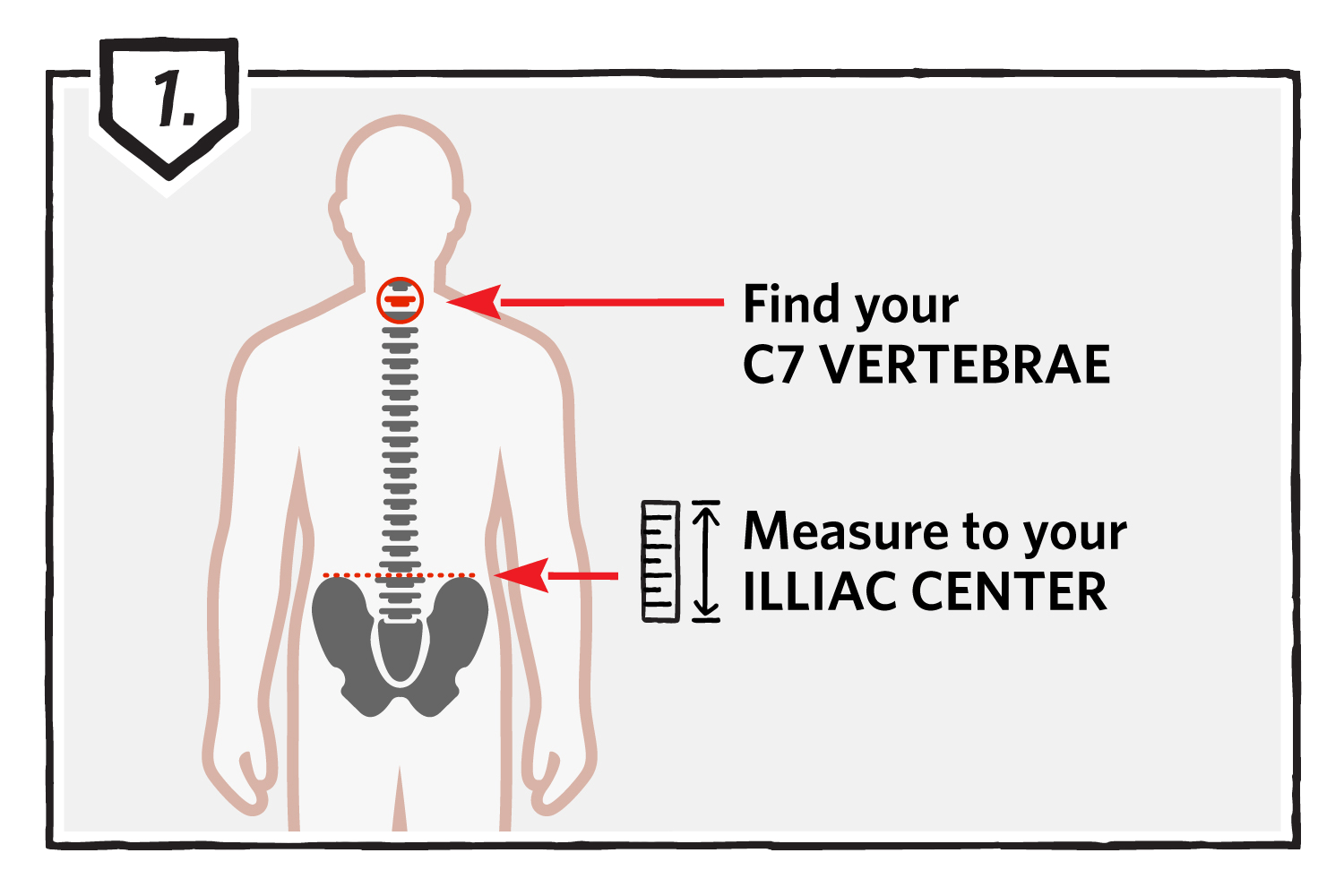Step 1: Measure Your Torso Length