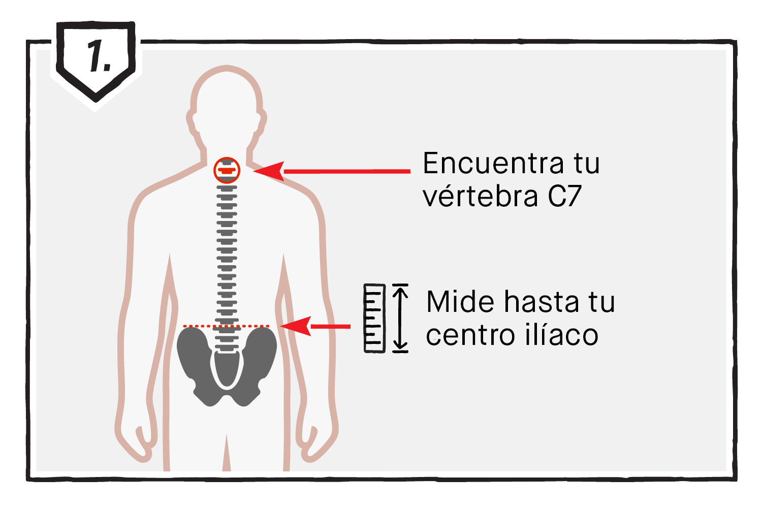 Step 1: Measure Your Torso Length