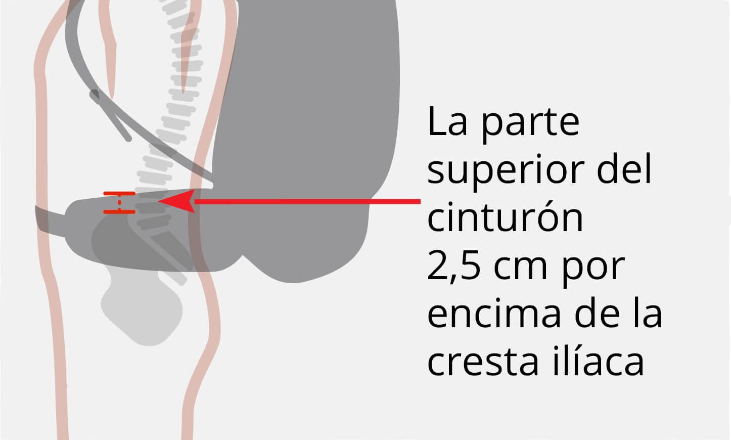 Hipbelt