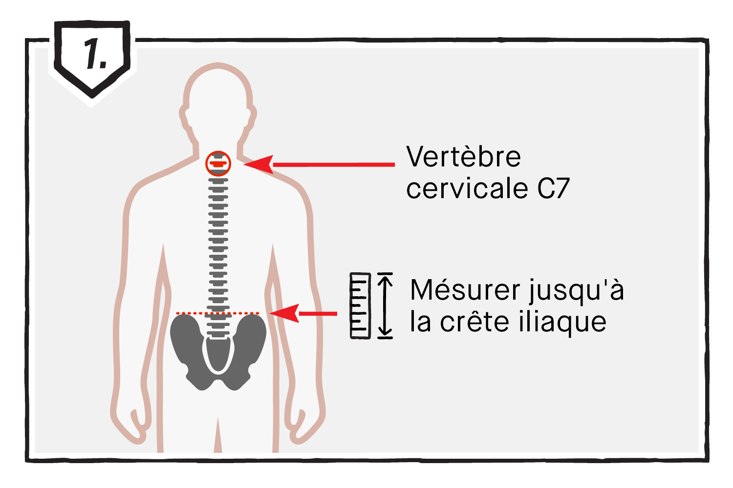 Step 1: Measure Your Torso Length
