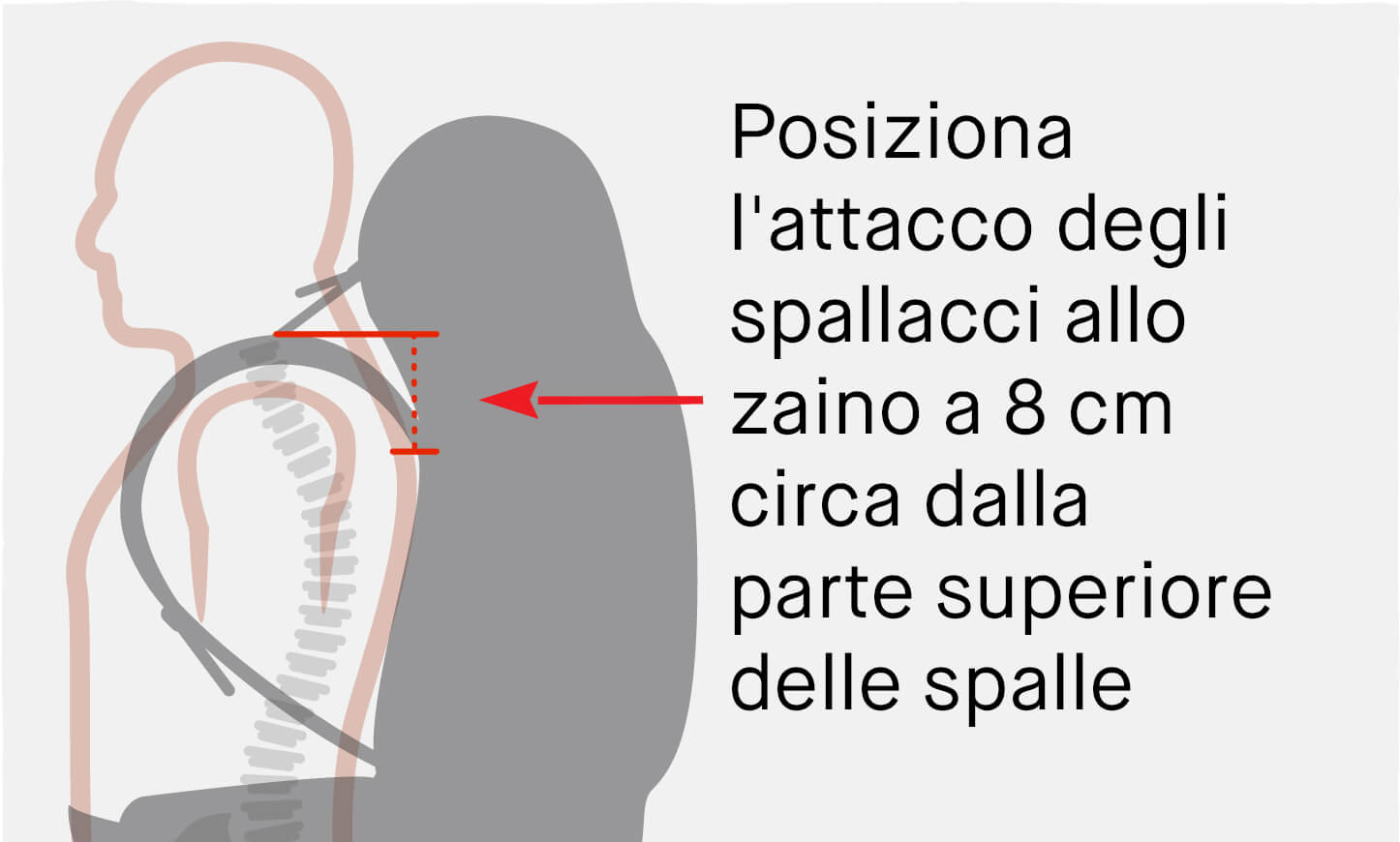 Shoulder Strap