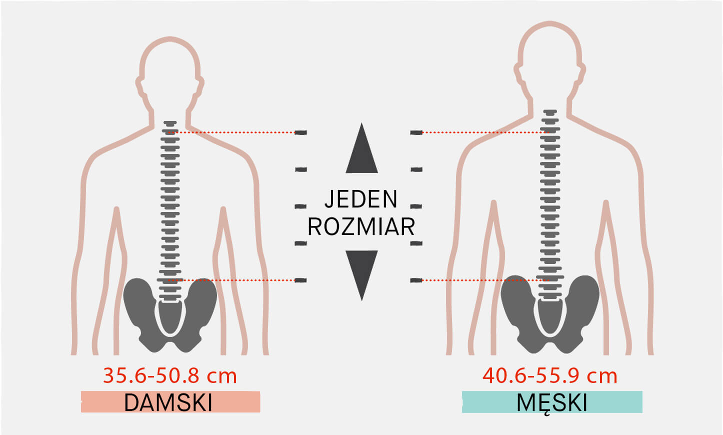 Pack Sizing - One Size